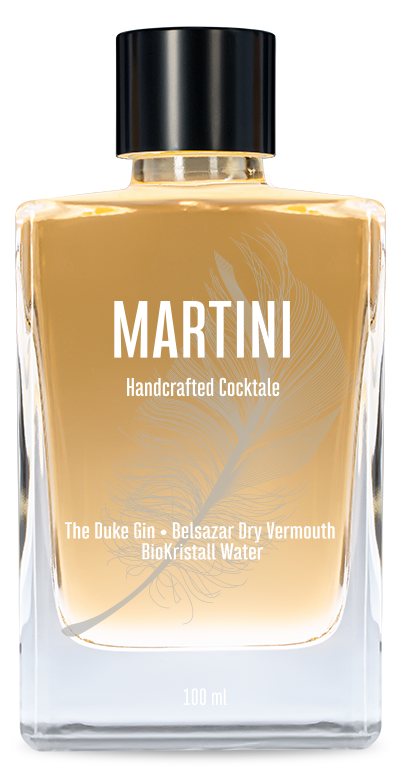 Martini Gin Wermut Bottled Cocktail